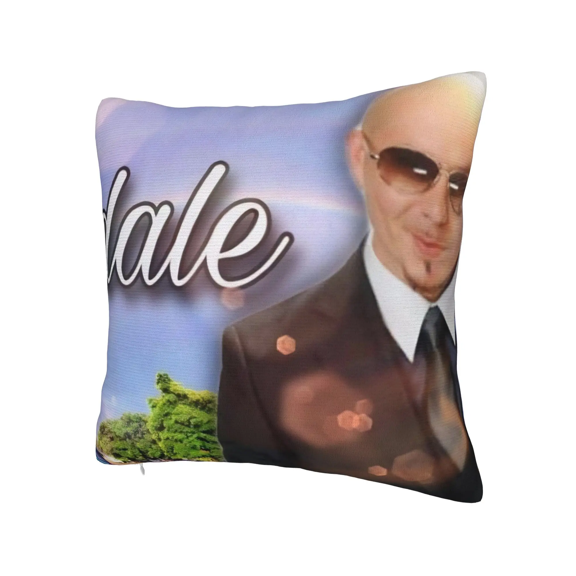 Singer Pitbull Tour 2026 Pillow Covers Accessories Printed Cushion Cover Decoration  Pillow Case Cover Chair Multi Size