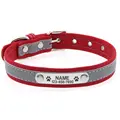 Collar-Red
