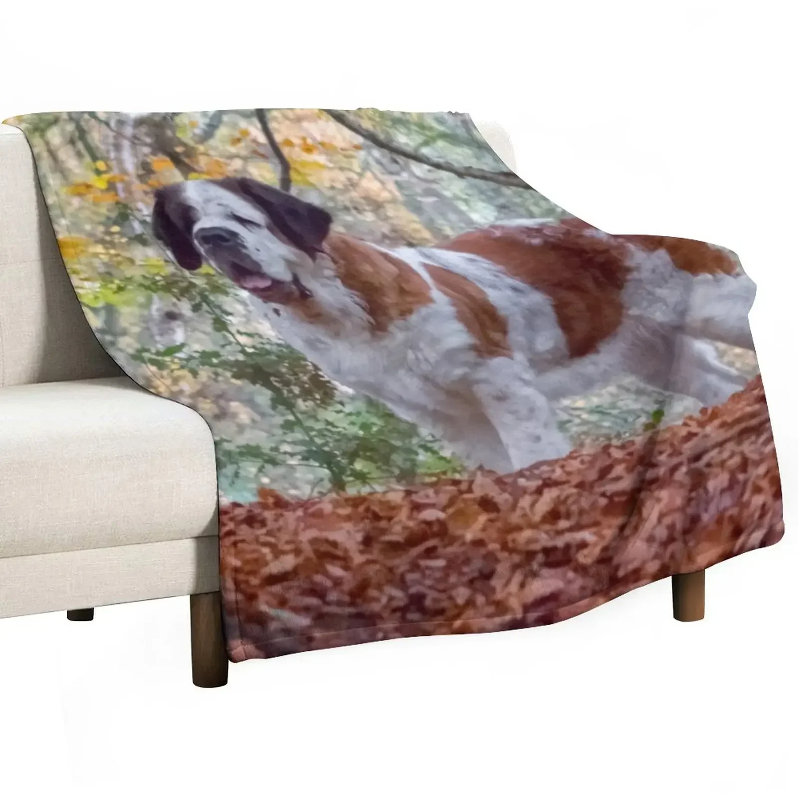 St Bernard dog in Autumn woodland Throw Blanket For Sofa Thin Bed linens manga Sofas Blankets