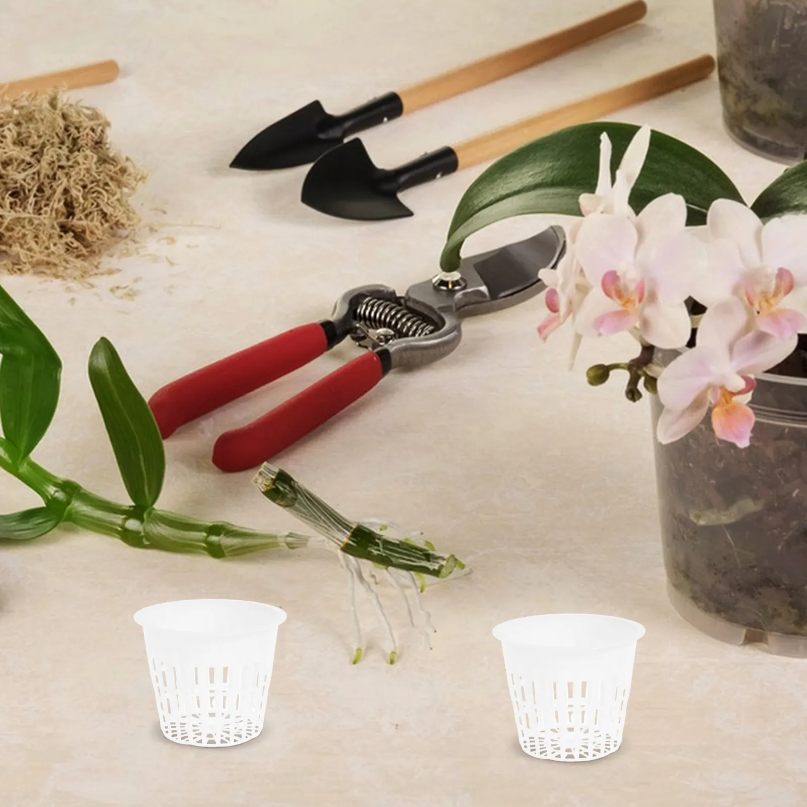 

10Pcs Hydroponic Net Pots Mesh Planter Basket for Orchid Plant Nursery Cups Plastic Grow Containers Mesh Net Planter