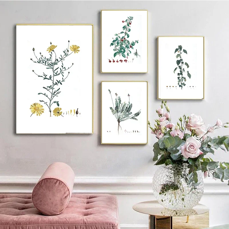1pc frameless Canvas Painting Botanical Herb Studies watercolour Posters and Prints French Plant Canvas Painting Wall Art Pictur