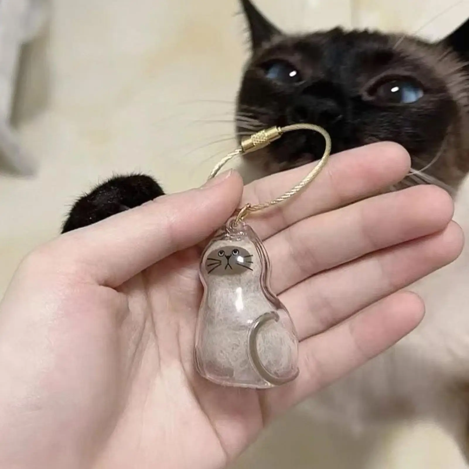 Katzenhaar-Aufbewahrungskapsel Schlüsselanhänger zum Sammeln von Tierhaaren Gedenk-Accessoires Einfach Gestalteter Katzenförmiger Schlüsselanhänger – Detail 8