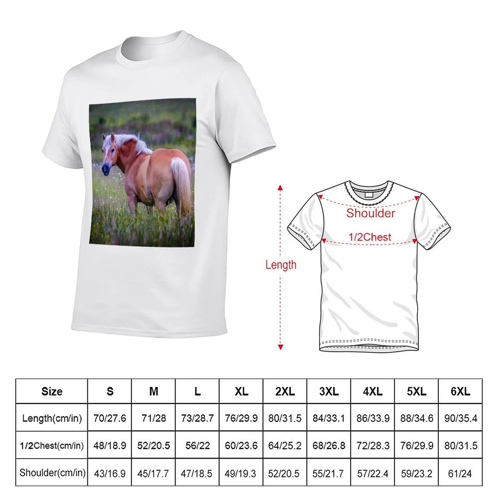 Horse beauty! T-Shirt mens graphic t shirts man t shirts high quality luxury brand T-Shirt