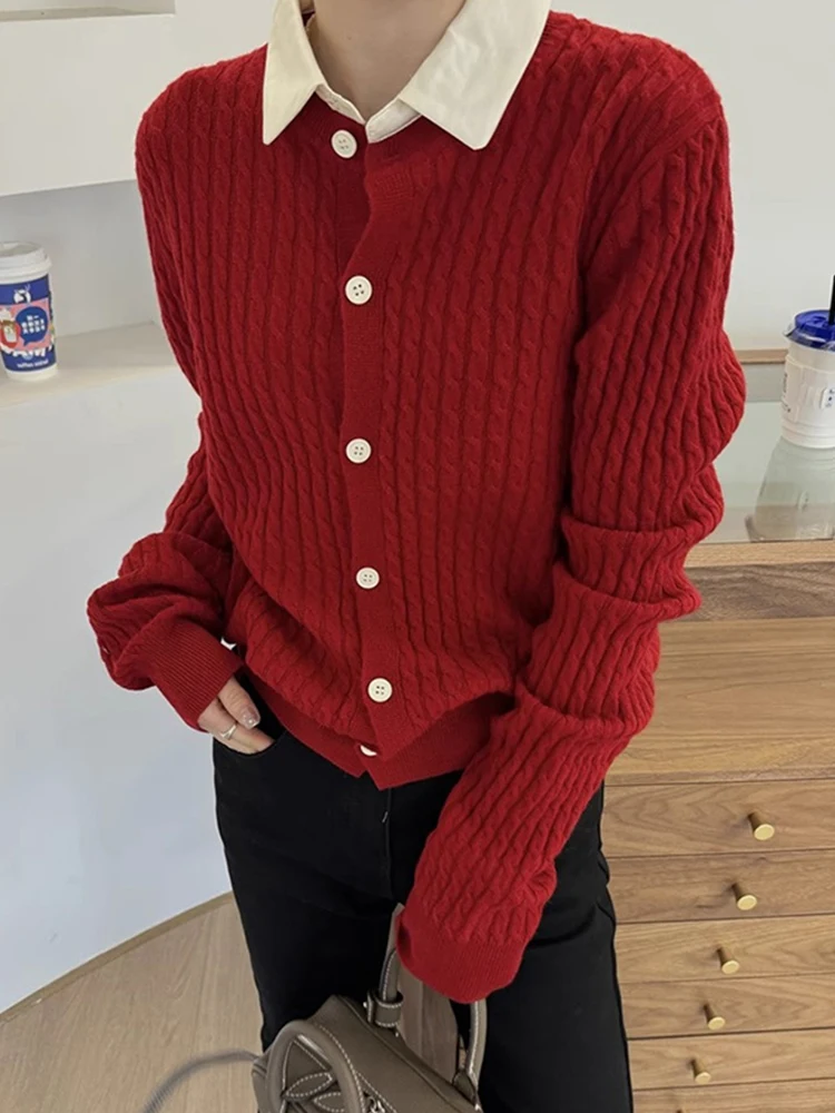 

Color Block Knitted Long Sleeve Cardigan Single Button Closure Twist Design Casual Style Autumn Winter Outerwear for Women