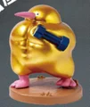 Dumbbell kiwi
