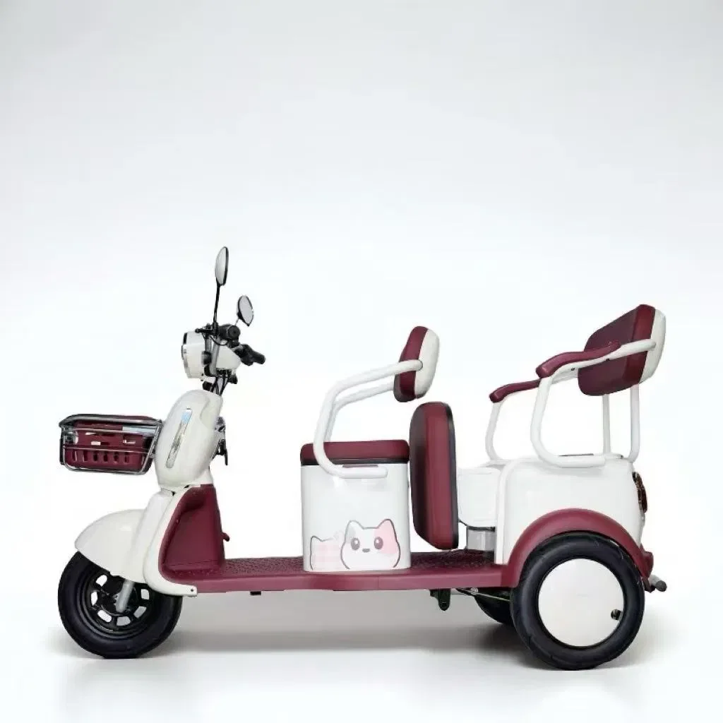 Triciclo elettrico CEE Per adulti Casa Tempo libero Scooter per mobilità per anziani Piccolo triciclo elettrico a tre ruote per raccogliere i bambini