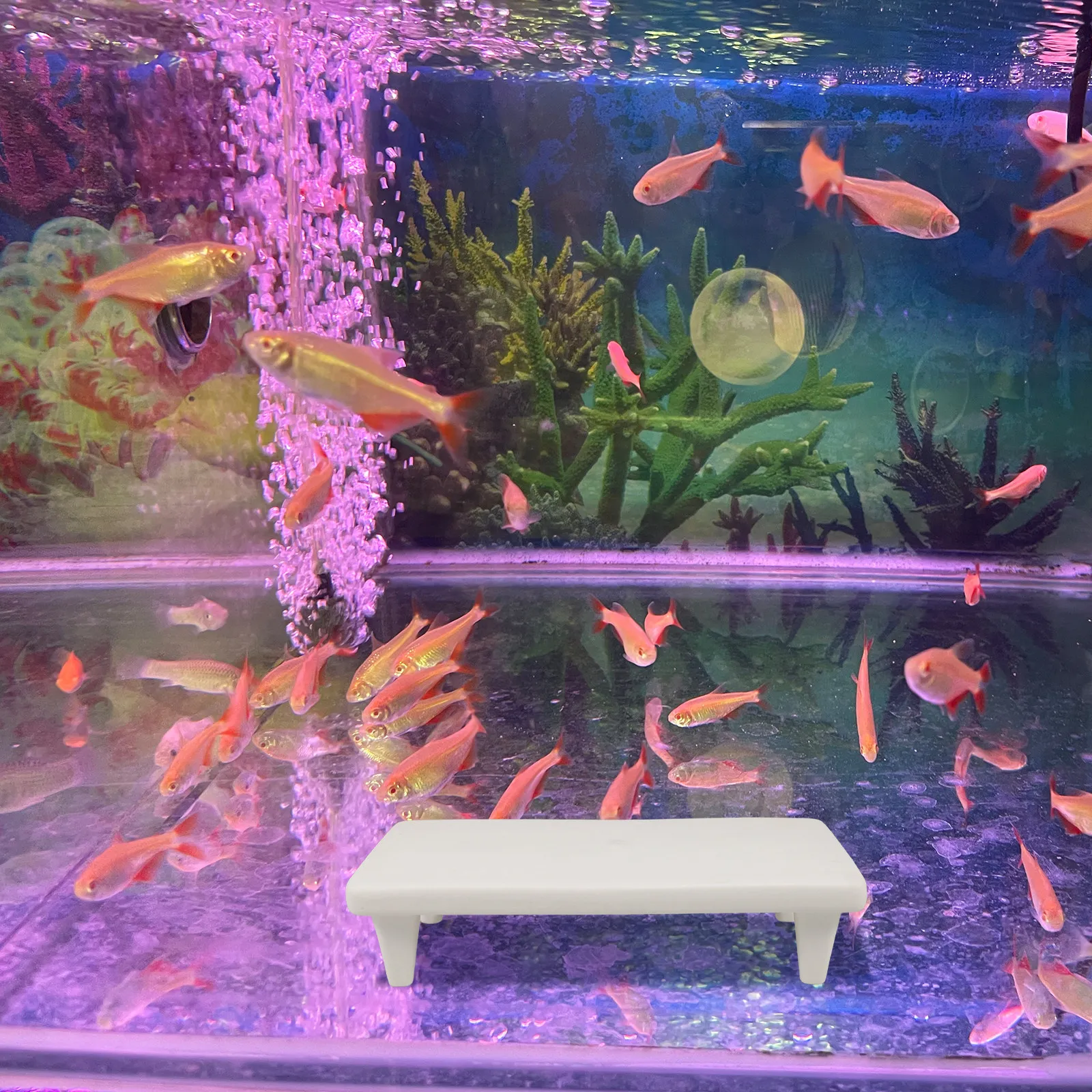 Уникальное укрытие для рыбок и – обзор и цена Aquarium Fish Unique