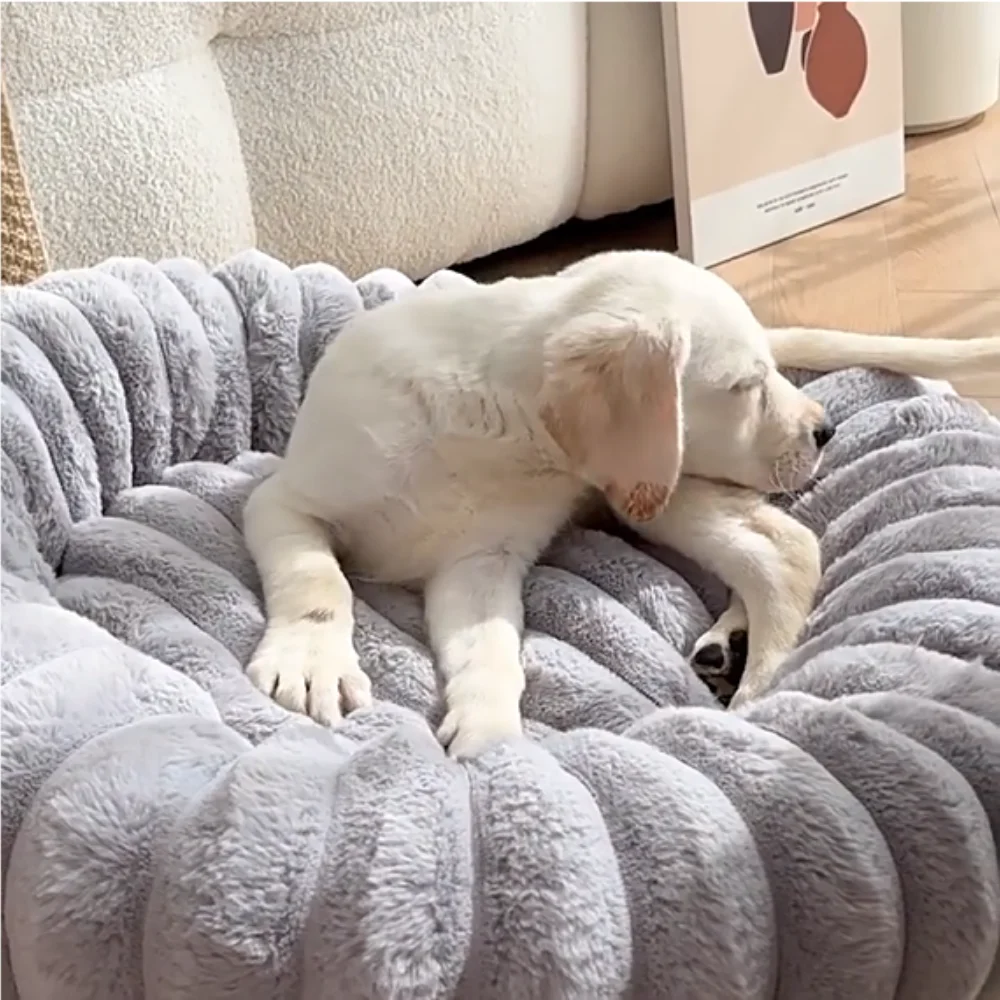Tapis ronds pour chats, coussin Long en peluche pour chiens moyens, couchage chaud d'hiver, lits Super doux pour animaux de compagnie, Лежанкая С® onder