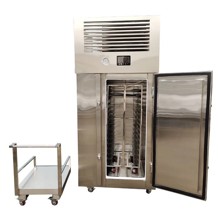 FL Quick Freezing Machine Industrial Low Temp Blast Quick Freezer For Frozen Dumpling Food Manufacturing Plant