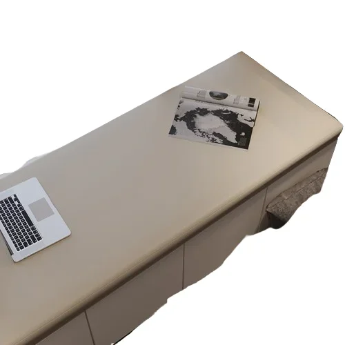 Cuir anti-rayures pour chat, tapis de baie vitrée, luxe léger, coussin de palme de coco en latex