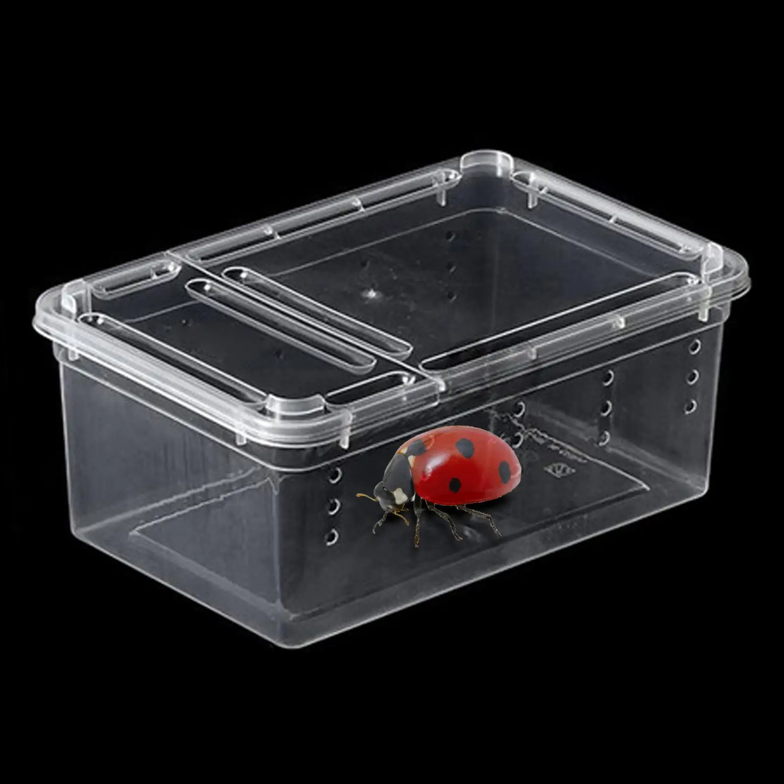 Reptile Feeding Box Rectangle with Small Vents 12.5x19x7.5cm Enclosure Hatching Case for Silkworm Beetle Snails Gerbil