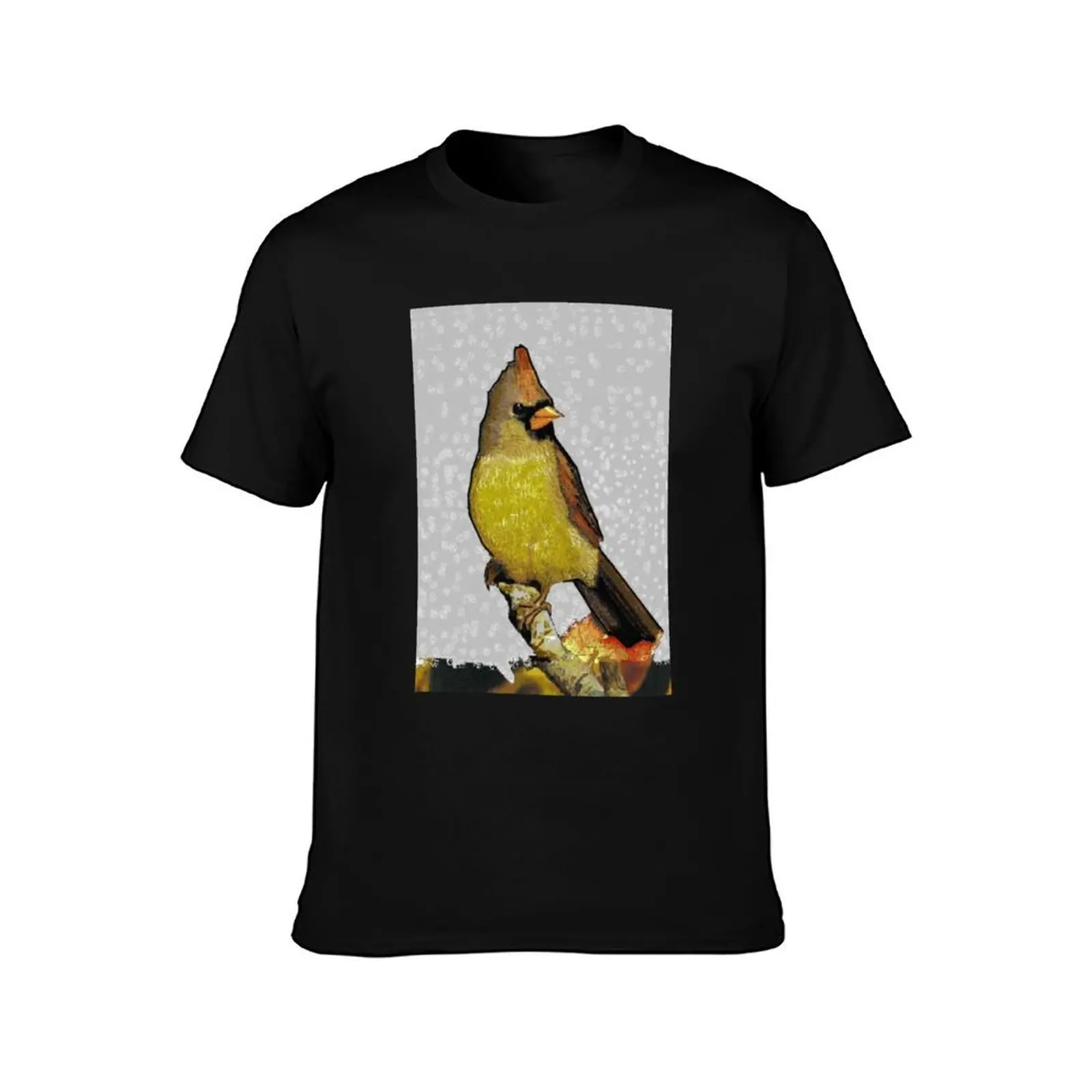 Female Cardinal T-Shirt Basic Plain Tee for Spring and Summer T-Shirt