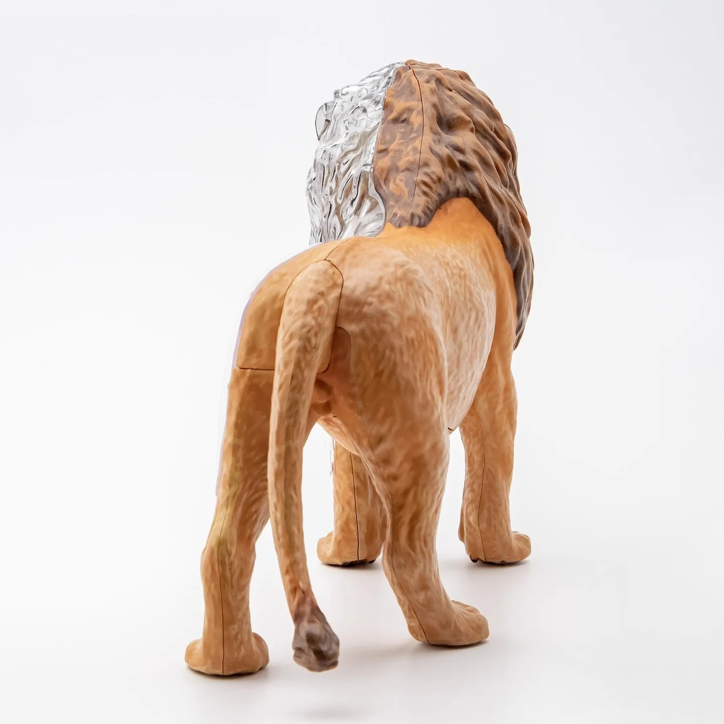 4D رؤية الأسد تشريح نموذج محاكاة واقعية الحيوانات البرية البلاستيكية نموذج لغز تجميع الأدوات التعليمية