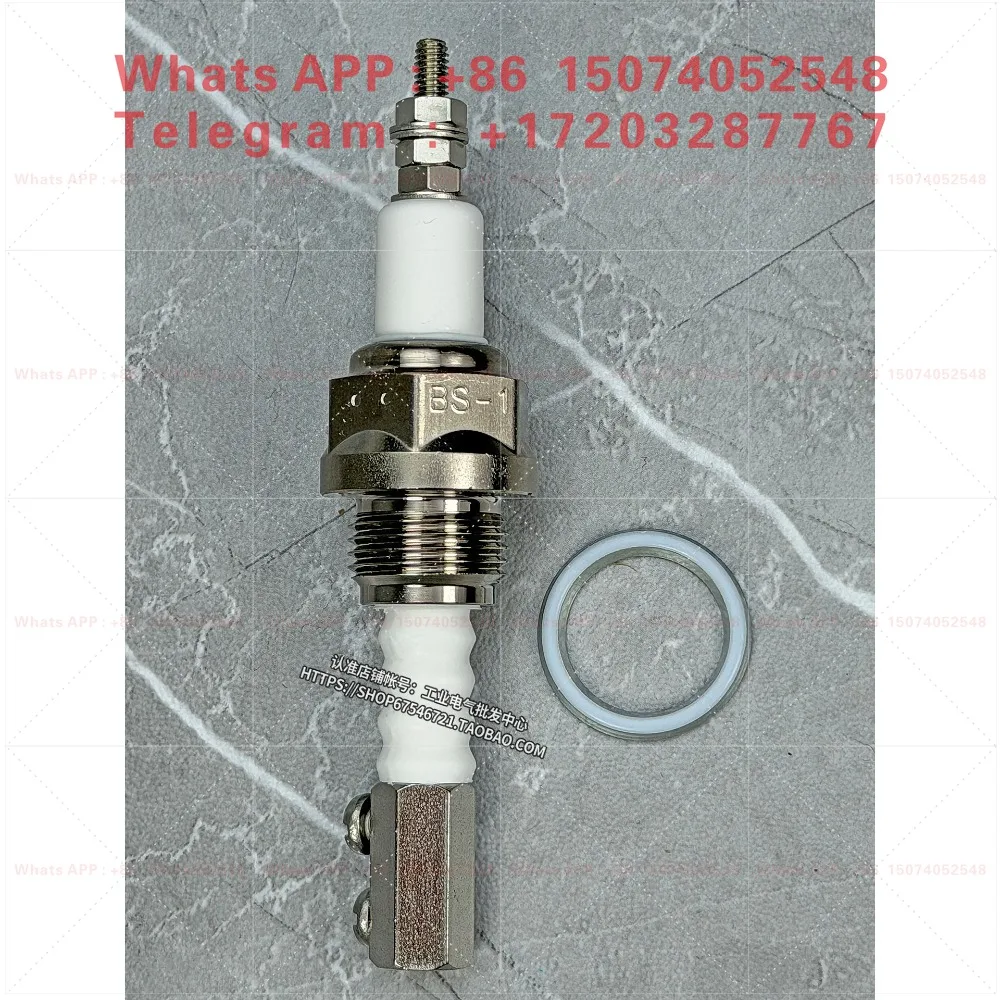 Imported original BS-1 water level electrode holder, boiler special high pressure and high temperature resistance