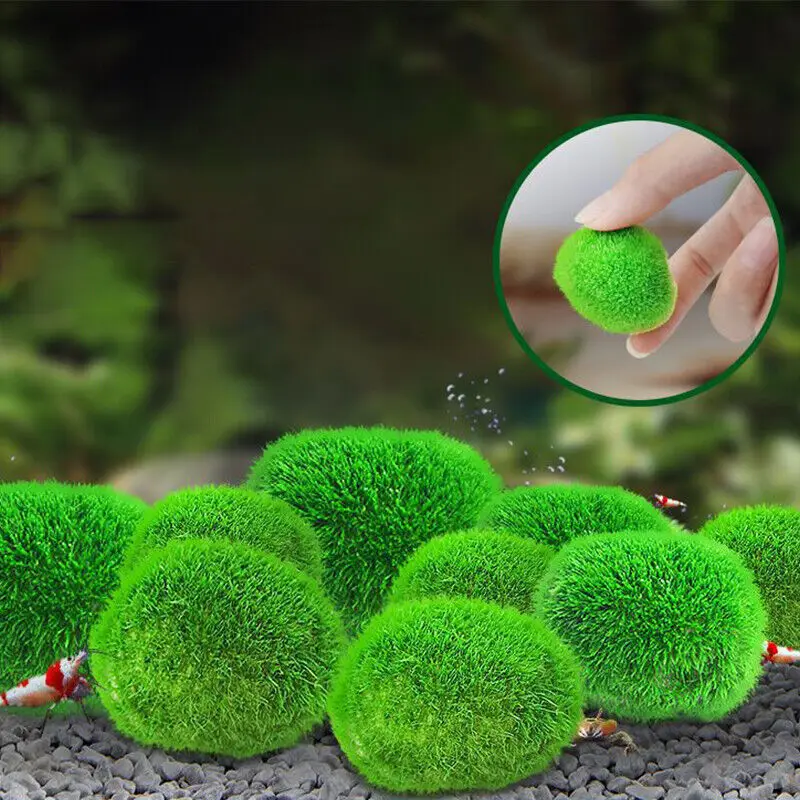 

2pc Simulation Aquarium Grass Ball Artificial Plant Fish Shrimp Tank Aquarium Landscape Green Algae Ball Fish Tank Decor Plants