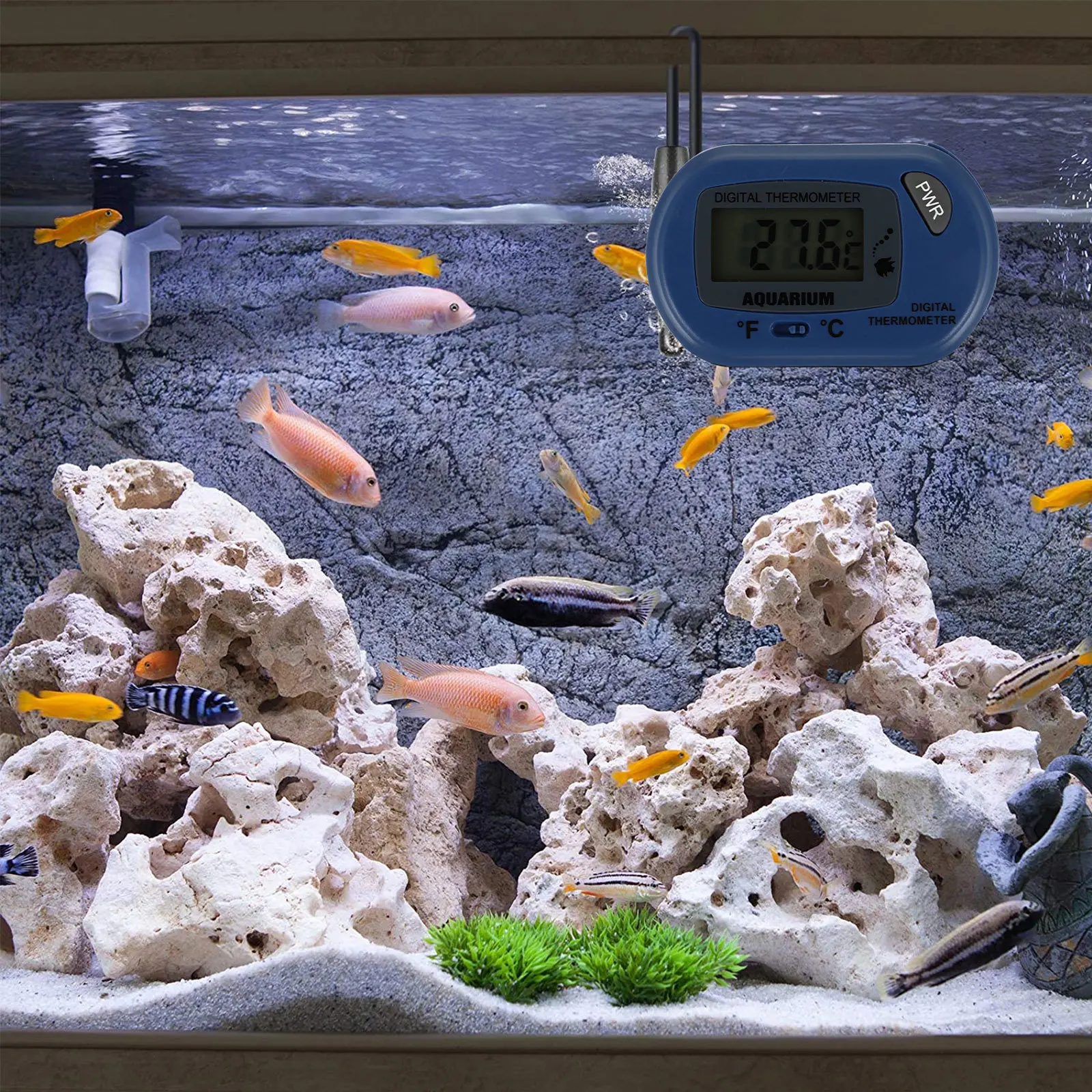 

Mini Digital Aquarium Thermometer Blue High Accuracy Fish Tank Waterproof Thermometer Portable Compact Design Large Screen