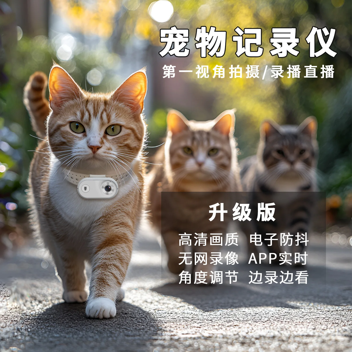 Pet cat dog first view camera neck camera surveillance recorder smart collar recording and shooting