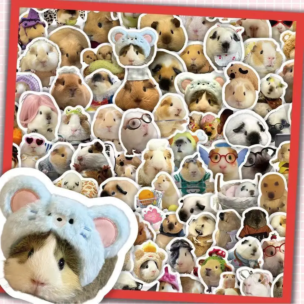 50 ملصقًا لبطاقة، إيموجيس القطط الشهير على الإنترنت، ملصقات جرافيتي، ستائر يدوية لطيفة ومضحكة ومضحكة عبر الحدود #4