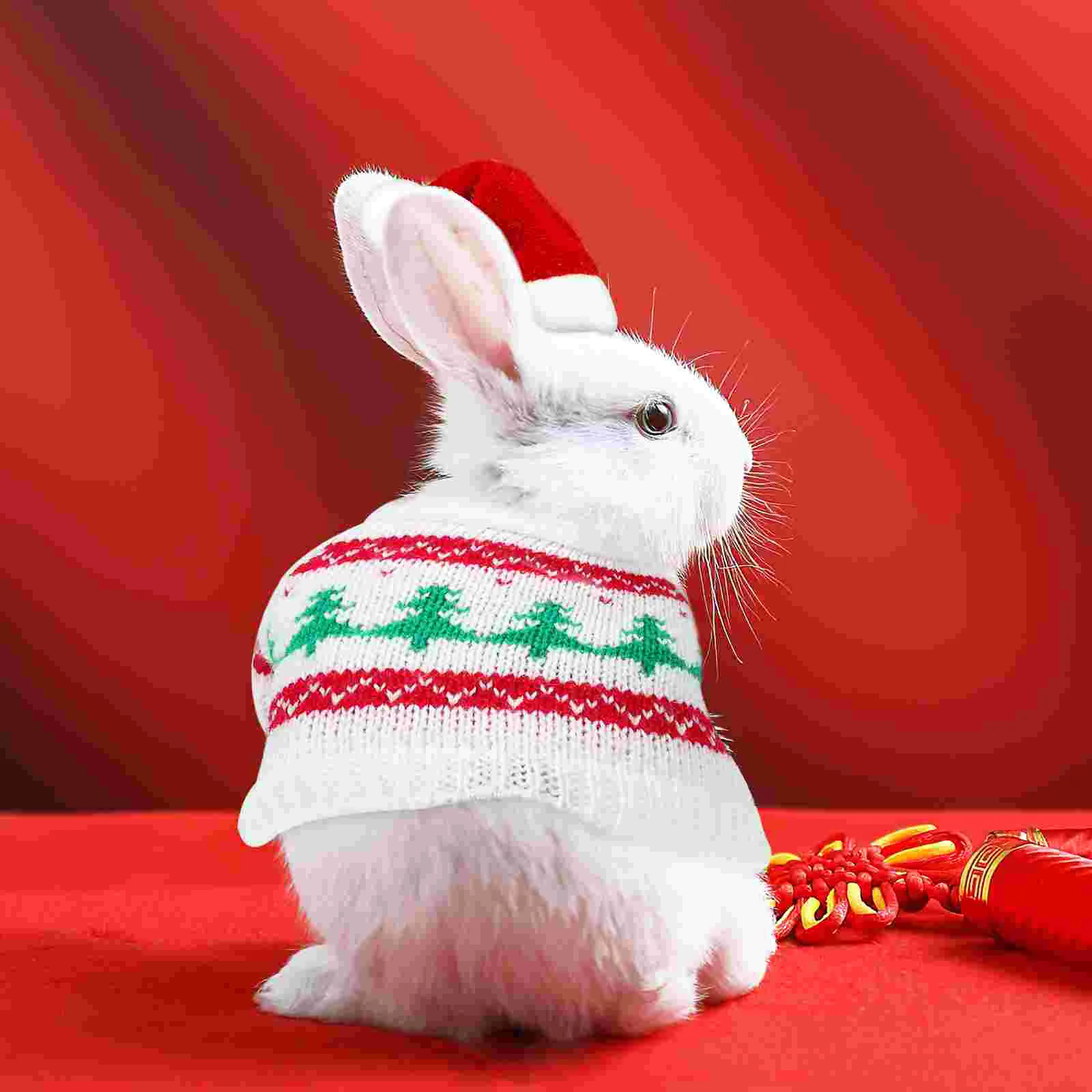 2 adoráveis chapéus de natal 5.5x8 roupas elásticas para animais de estimação pequenos animais verde vermelho chapéu de papai noel conjunto de fantasia para cobaia hamster