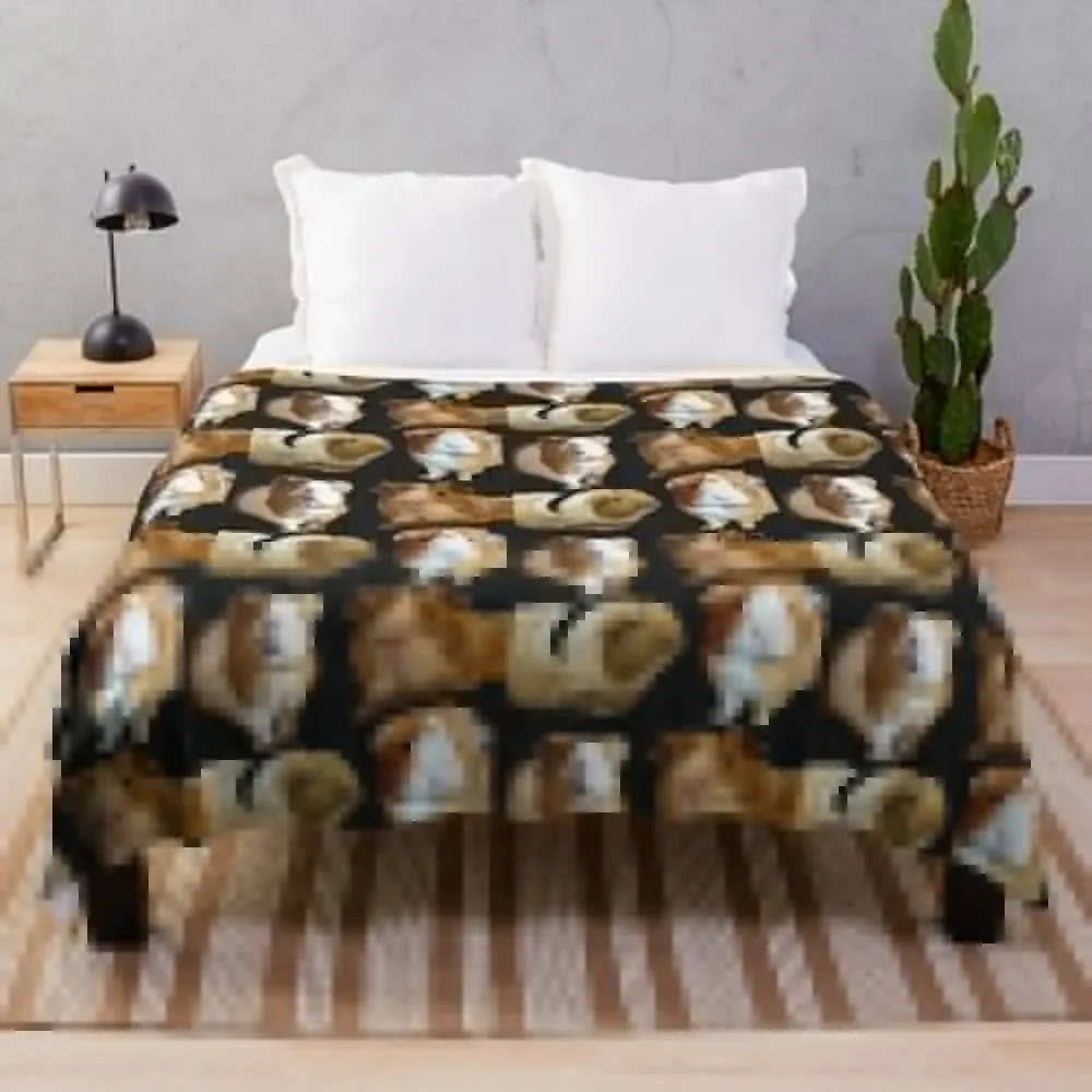 

Four guinea pigs Throw Blanket Polar bed plaid Summer Beddings Heavy Blankets