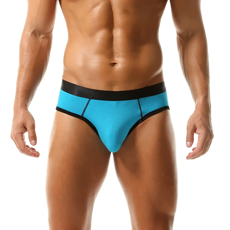 Men's Sexy Briefs Underwear Sub-Warehouse Pouch Independent Panties Modal Low-Rise Underpants High Elastic Bikini Slip Homme