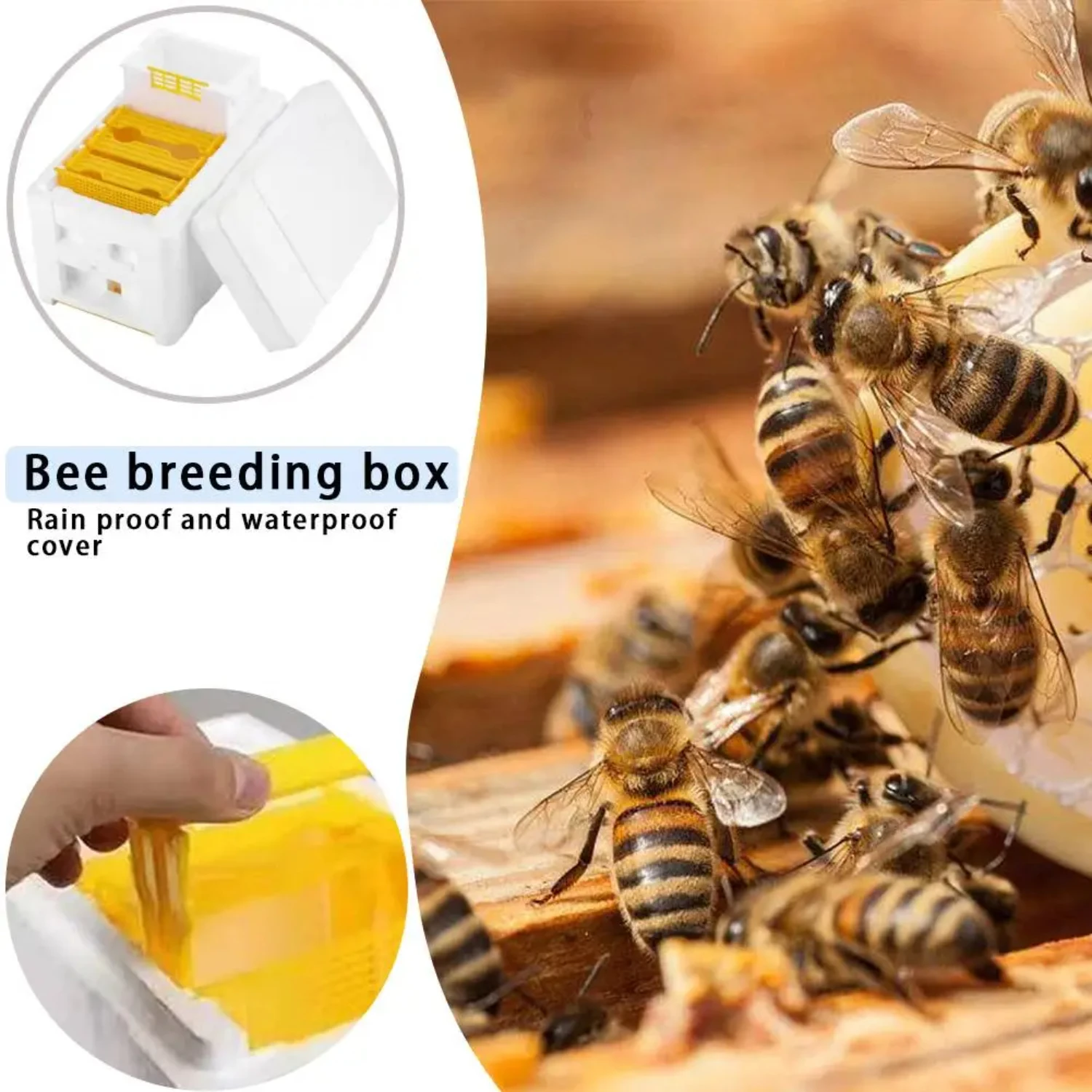 Multi- Beehive Beekeeping King Box Foam  Bee Hive Pollination Boxes Harvest Bee Hive Beekeeper Mating Supplies