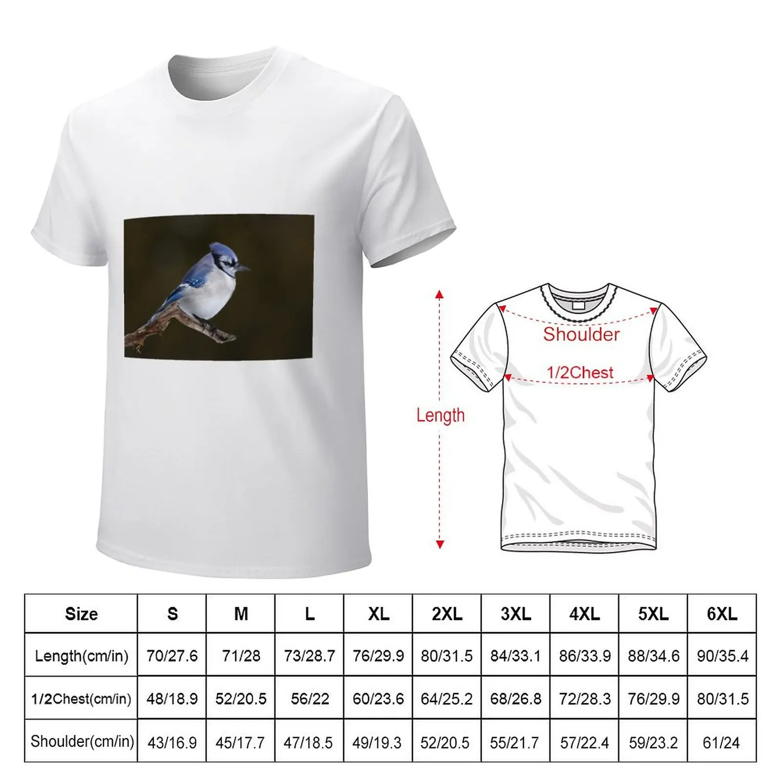 Blue Jay in Winter T-Shirt summer top funnys korean fashion mens graphic t-shirts anime