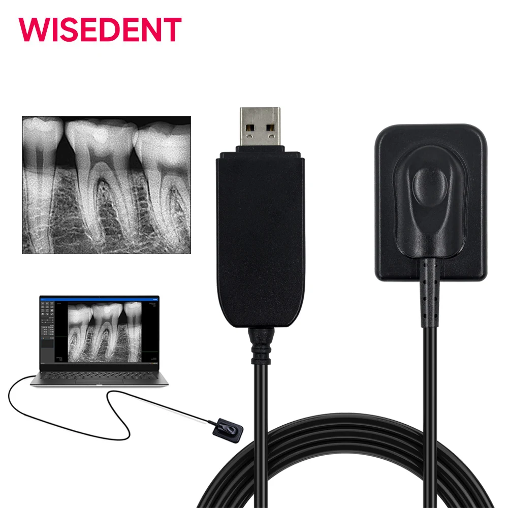 

Рентгеновский цифровой датчик Стоматологический внутриротовой CMOS-датчик Сбор изображения H D Система визуализации Образование в реальном времени