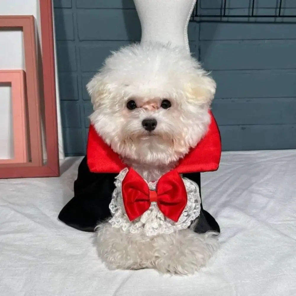 

Creative Bow Tie Halloween Pet Costume Stand-collar Lace Cat Cosplay Cloak Outfits Easy To Wear Small Dog Cape Party