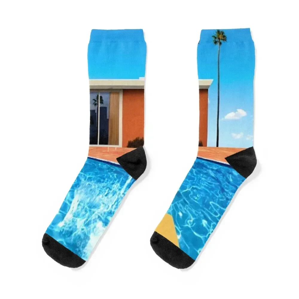 

Бассейн Дэвид Хокни Выставка Искусство Дэвид Хокни Вдохновленные Художественные Принты Носки цветные свободные мужские мужские носки на заказ Женские