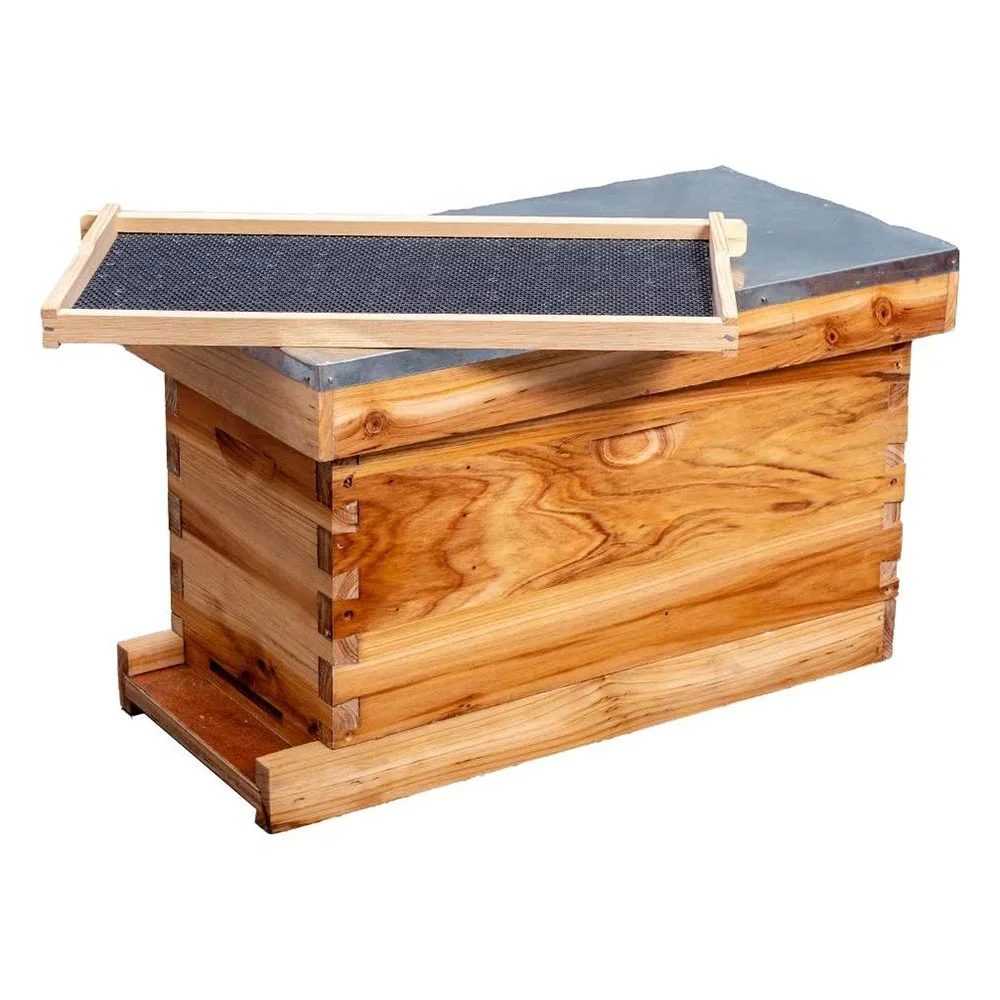 Complete Langstroth 5 Frame NUC Beehive Kit with Metal Roof Includes Pine Frames, Waxed Plastic Foundations for Beekeeping