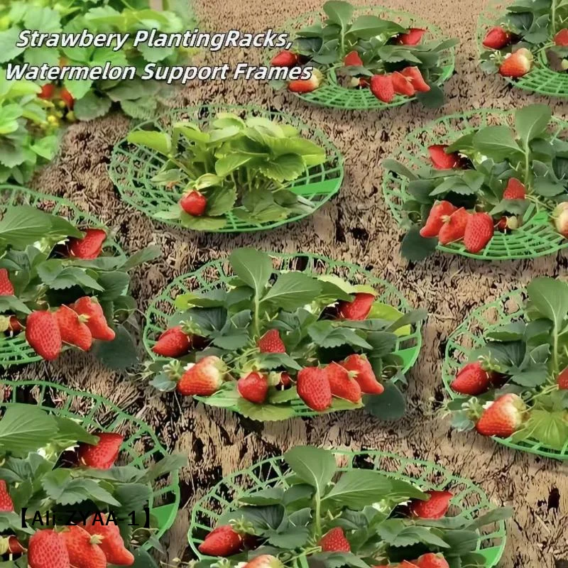 【A】10pcs Green Strawberry Planting Racks Watermelon Support 3 Legged Plant Protector Easy Assembly