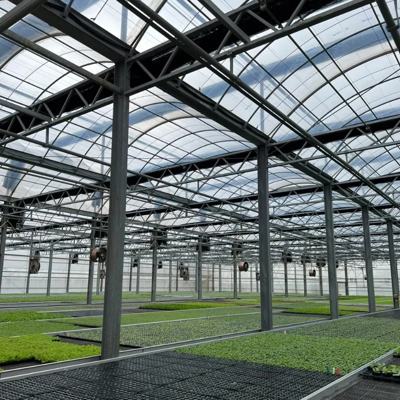 

Customized greenhouse2025 Multi-Span Polycarbonate Hydroponic Greenhouse for Farm Durable Galvanized Steel Square Tube Frame Gre