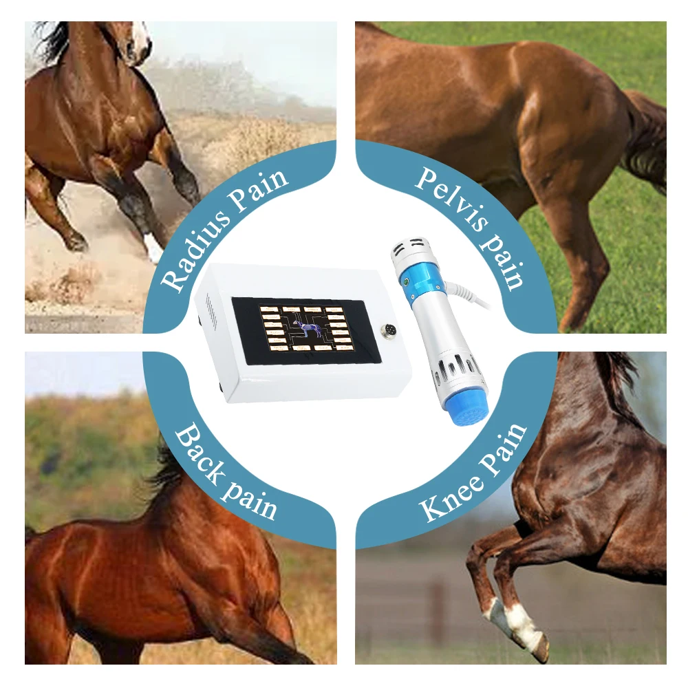 300MJ Physiotherapy Shock Wave Machine For Relief Pain And Treat Tendon Injury Professional Animals Shockwave Massager Horse Use