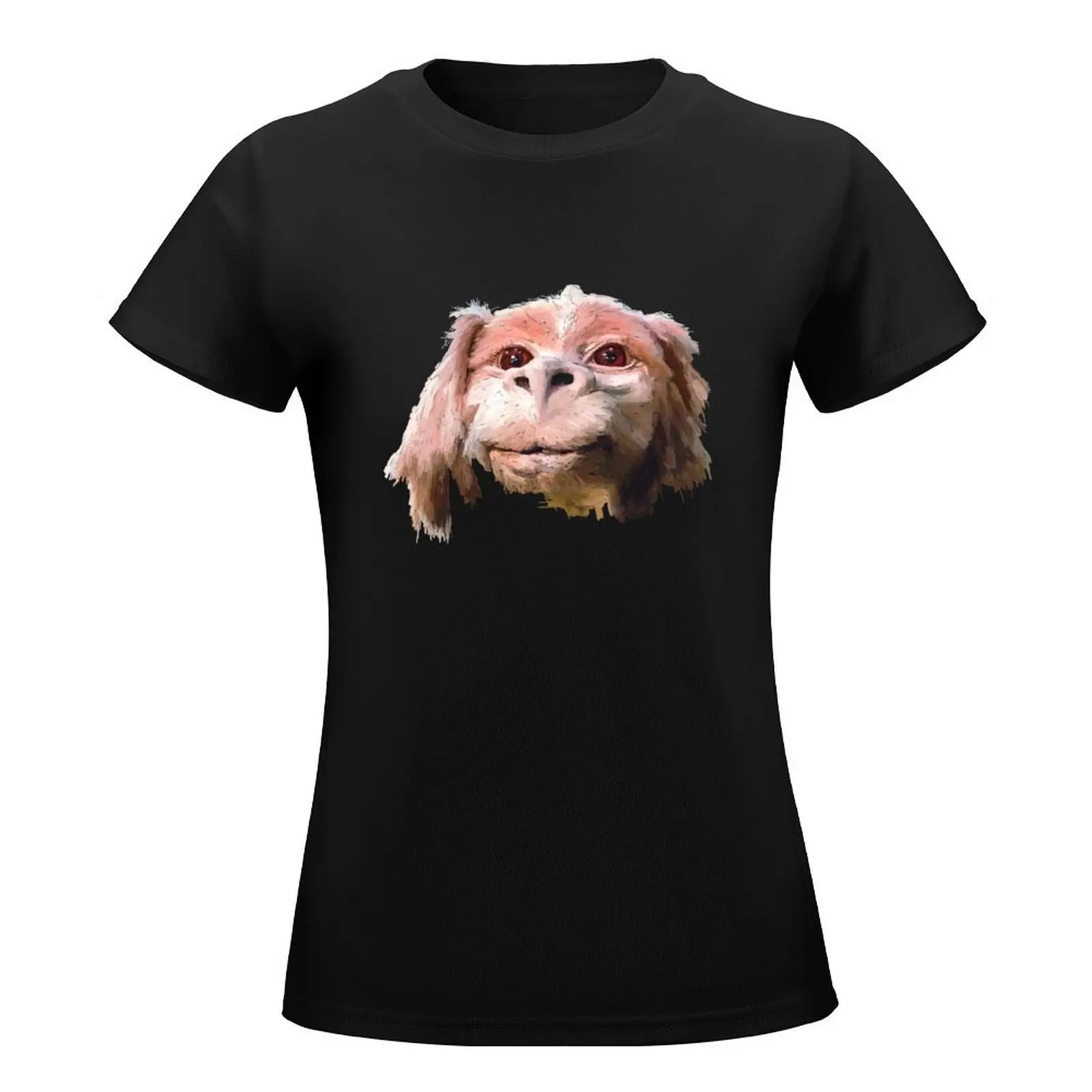 Falkor a Luck Dragon T-Shirt cute clothes aesthetic clothes anime clothes for woman