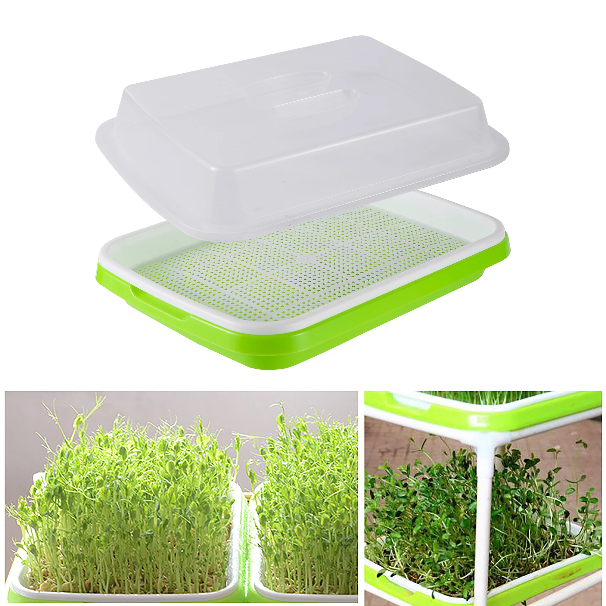Germination Nursery Tray Pea Mung Bean Peanut Wheat Water Cultivation Seedling Tray Soilless Cultivation Tray Nursery Tray