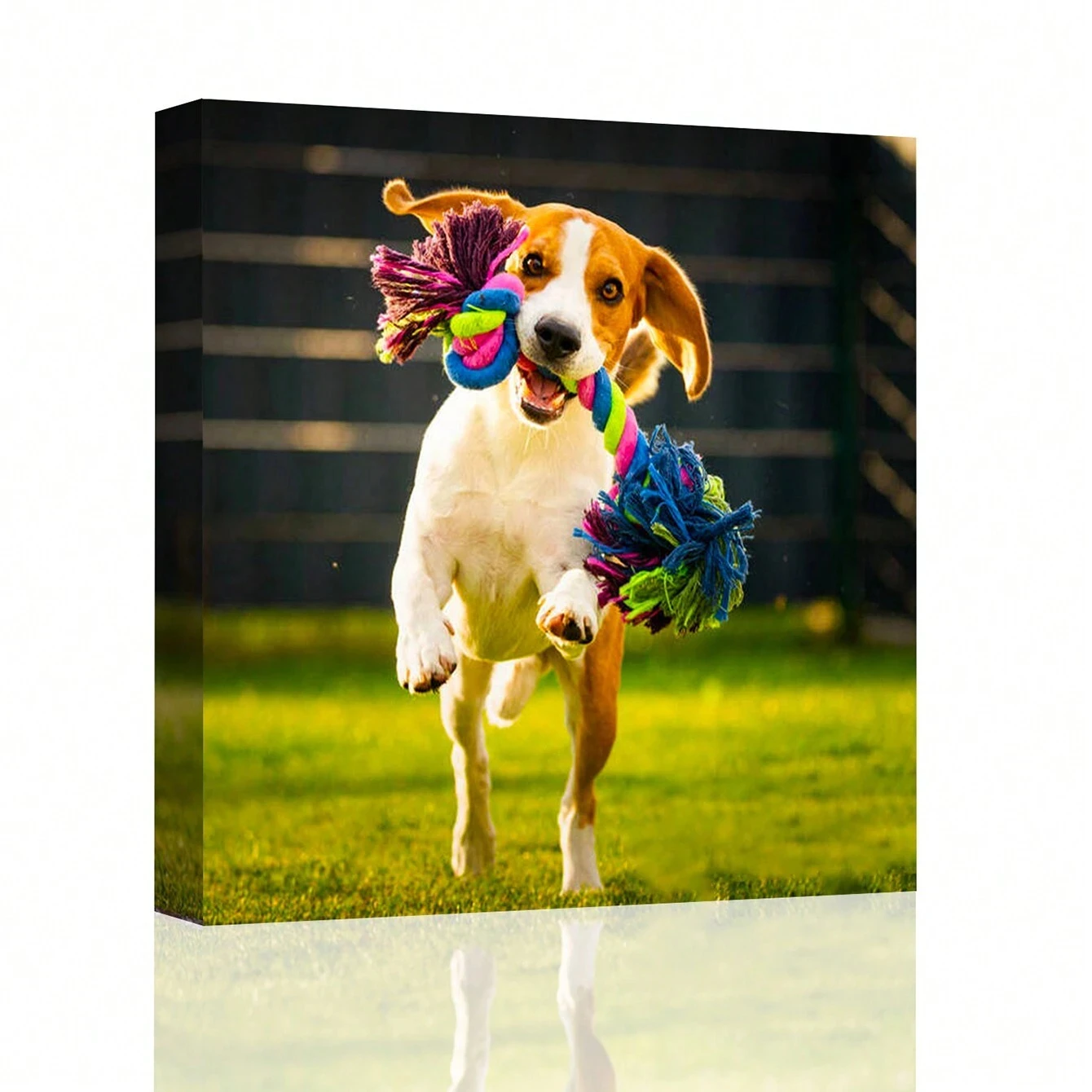 Kişiye Özel Fotoğraf Kanvas Ba - Home Decor Canvas incelemesi ve fiyatı
