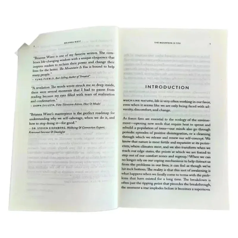 The Mountain Is You: Transforming Self-Sabotage Into Self-mastery English Books Birthday Gifts Livros Em Português