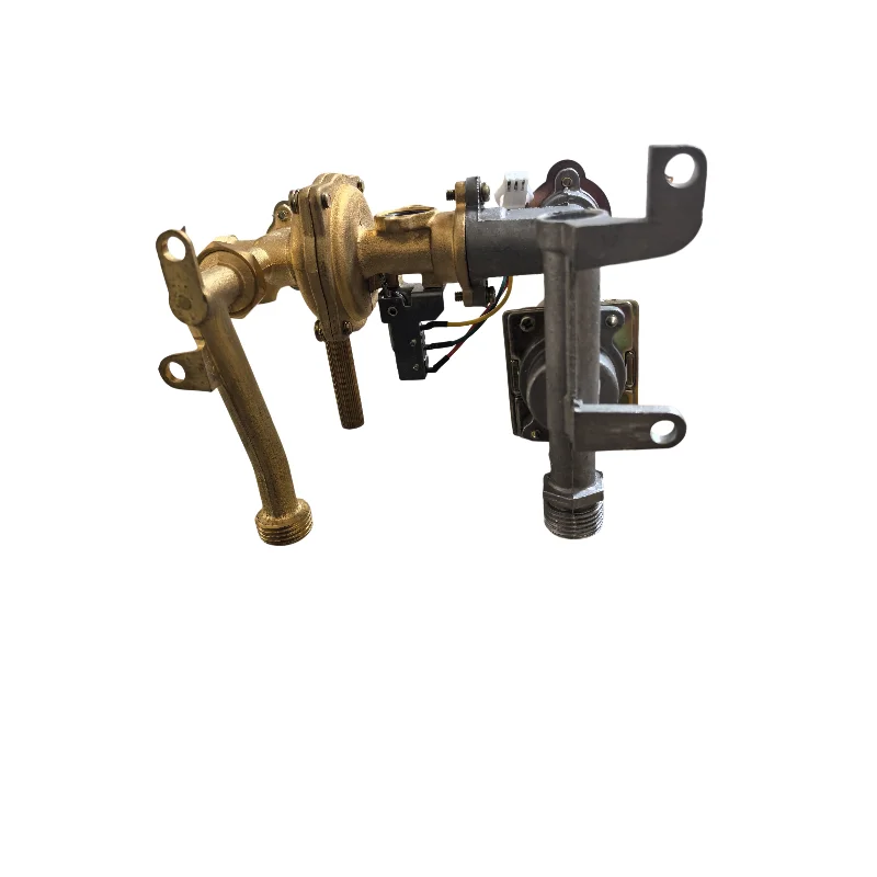 Bollitore a gas parti di acqua e gas assemblea solenoide valvola 7-10L 10Y150H