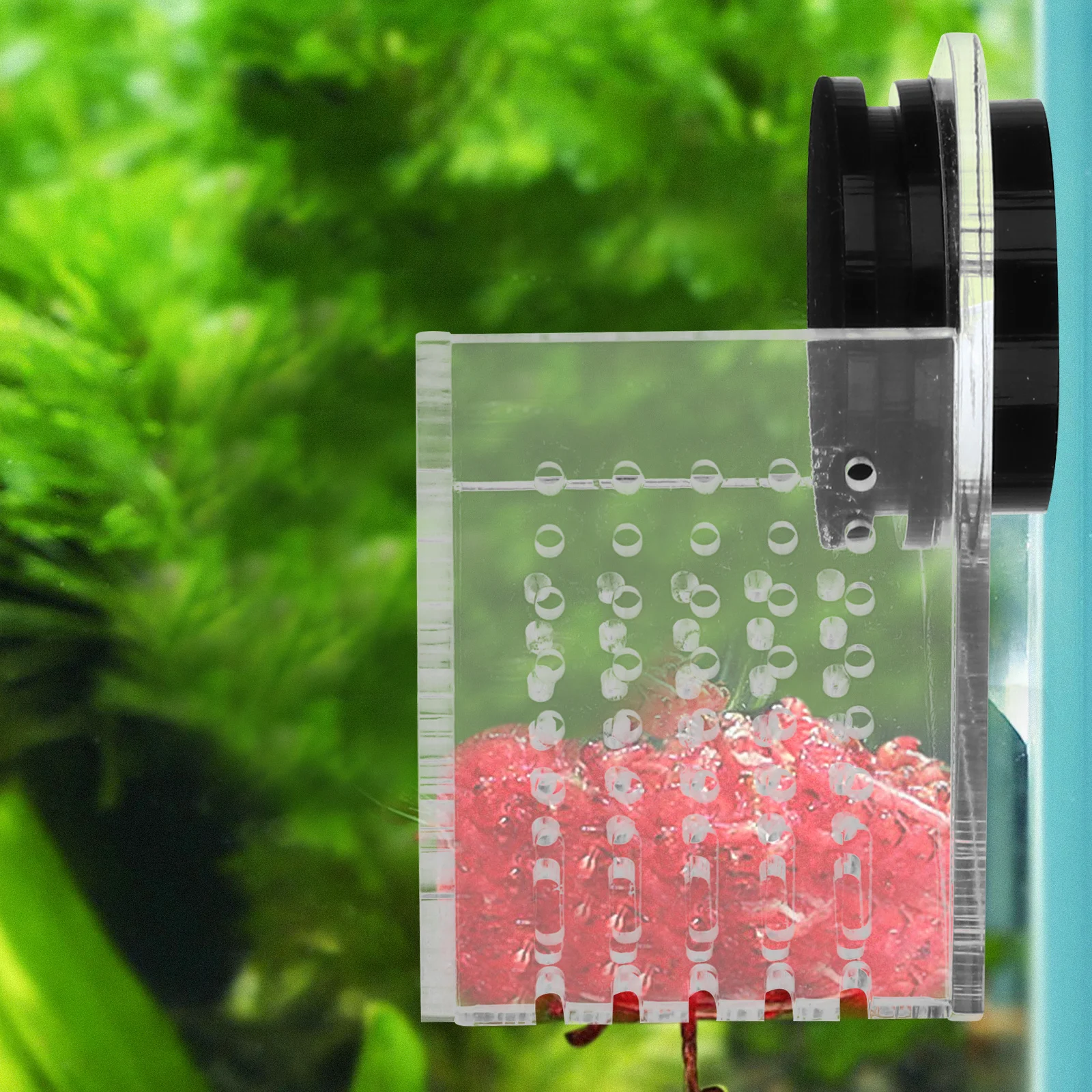 

1Pcs Acrylic Fish Feeder Magnetic Suction Cup Aquarium Blood Worm Feeding Tool Fish Tank Food Dispenser Aquarium Feeding Tool