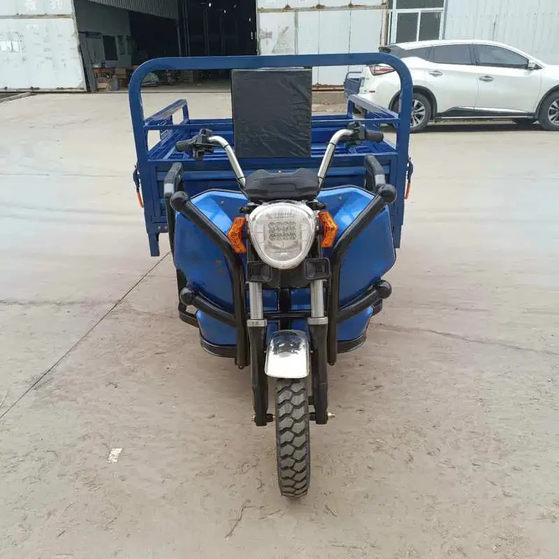 

Высококачественный, популярный, новый, одобренный CE 5-колесный грузовой трицикл из нержавеющей стали