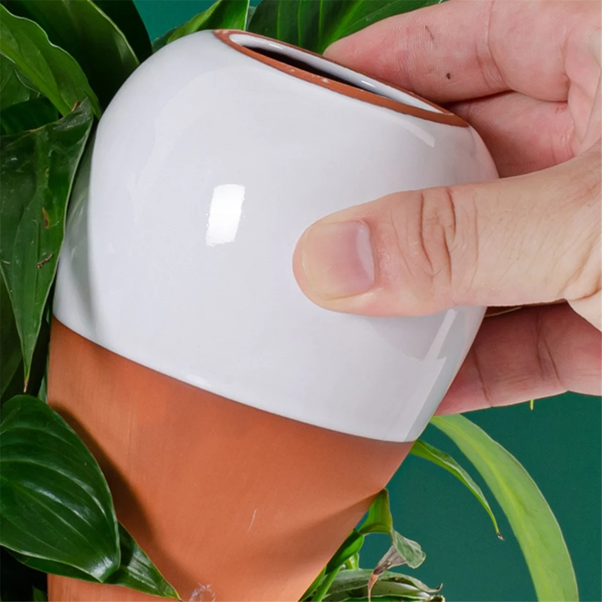 Шарик для полива растений, шип для полива терракота — лейка с медленным высвобождением, 16 унций — самополивающийся шип, 4 шт. SQ