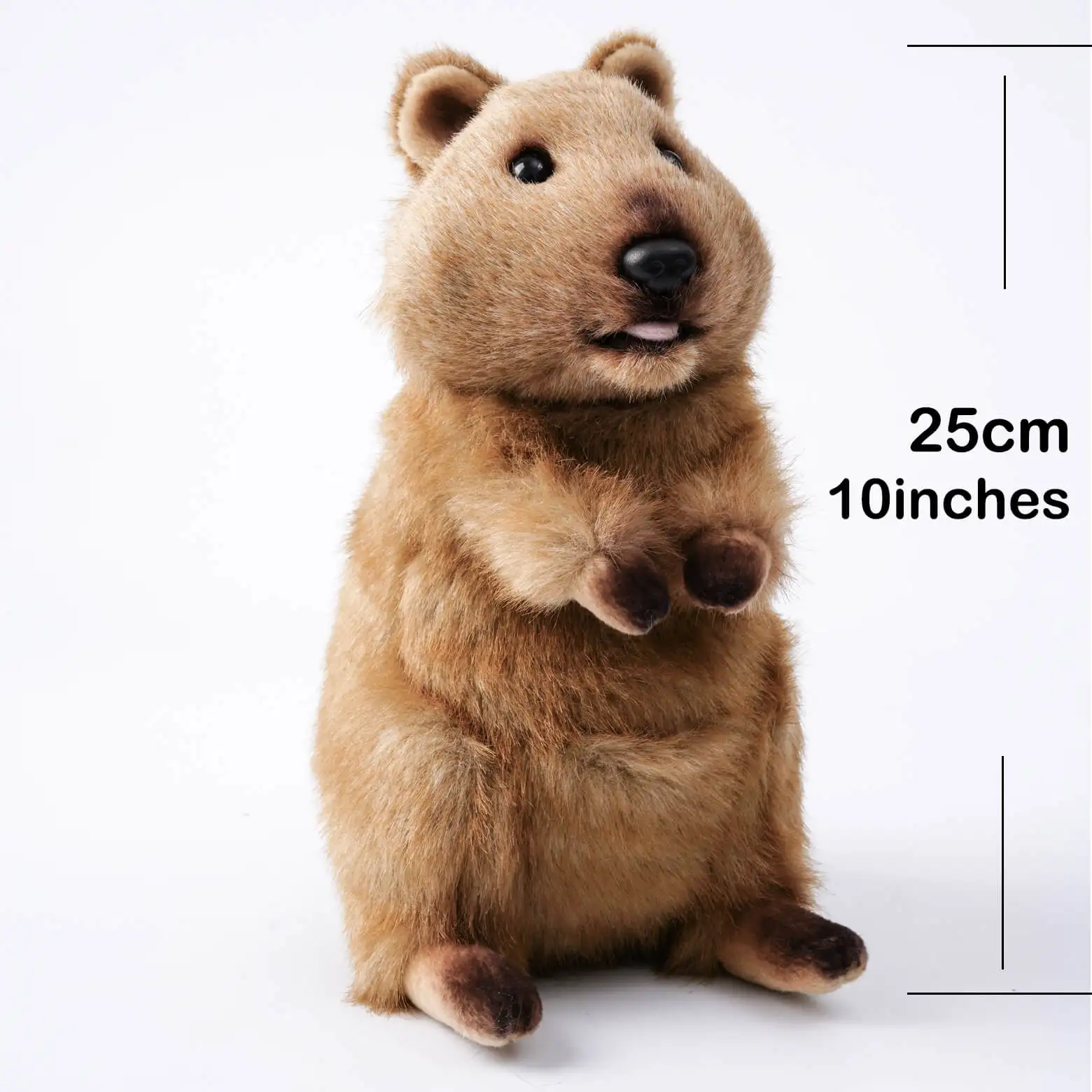 Cute Quokka Stuffed Animal Plush Toy, Australia Animal Plushie, Cuddly Quokka Doll-10 inches