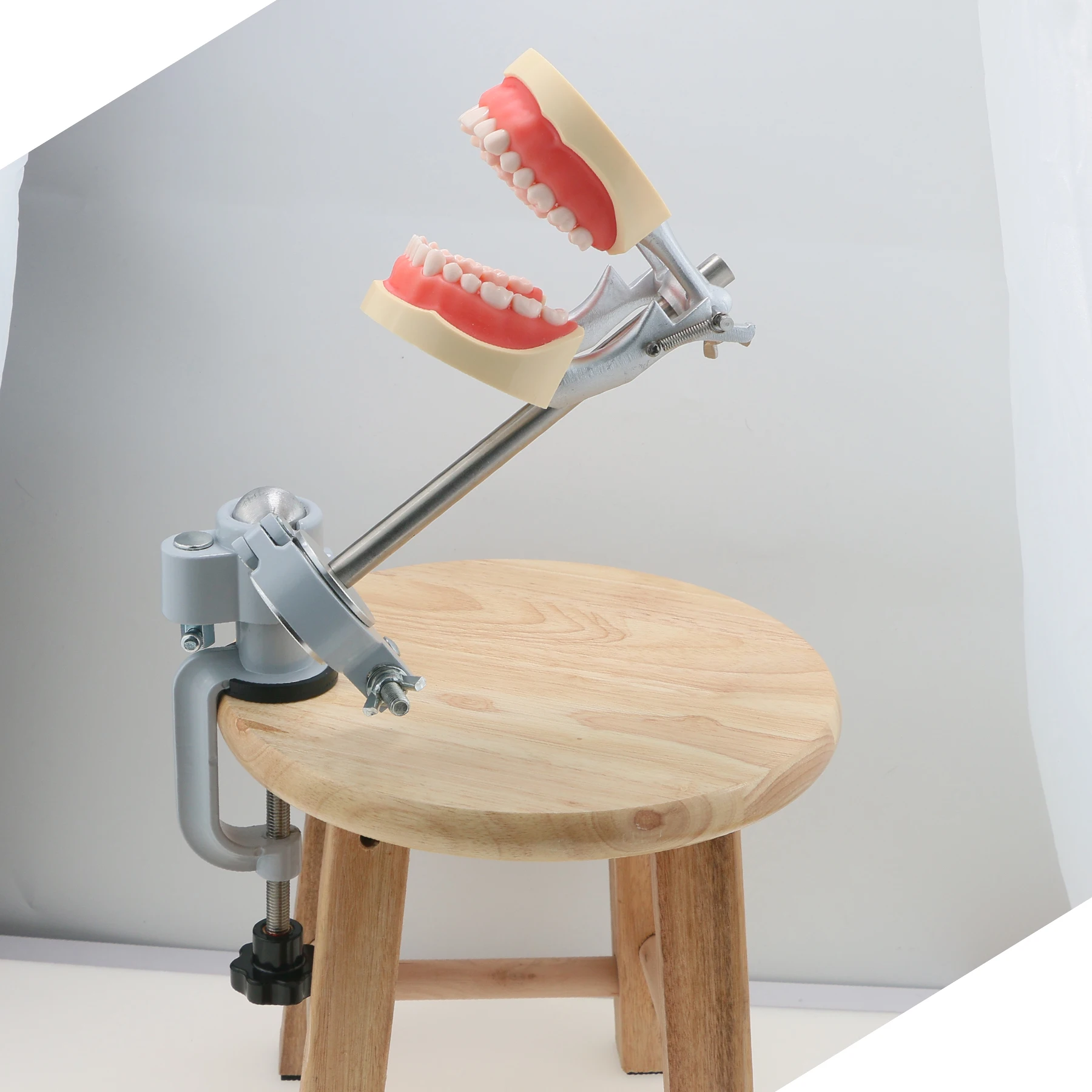 

Adjustable 360° Rotatable Dental Pole Mount Desk Clamp HolderTable Chair Fixing Bracket For Nissin Columbia Typodont Model