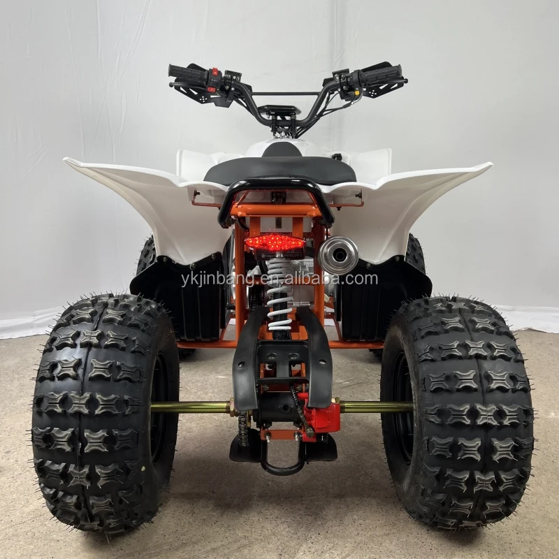 125cc 4-Stroke 1-Cylinder Air-Cooled ATV with Automatic Chain Drive Transmission