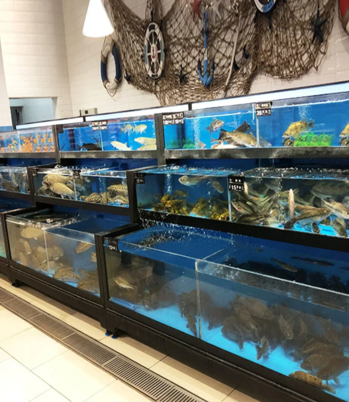 

Seafood pool commercial all-in-one refrigeration constant temperature hotel fish tank fresh supermarket seafood culture tank Hot