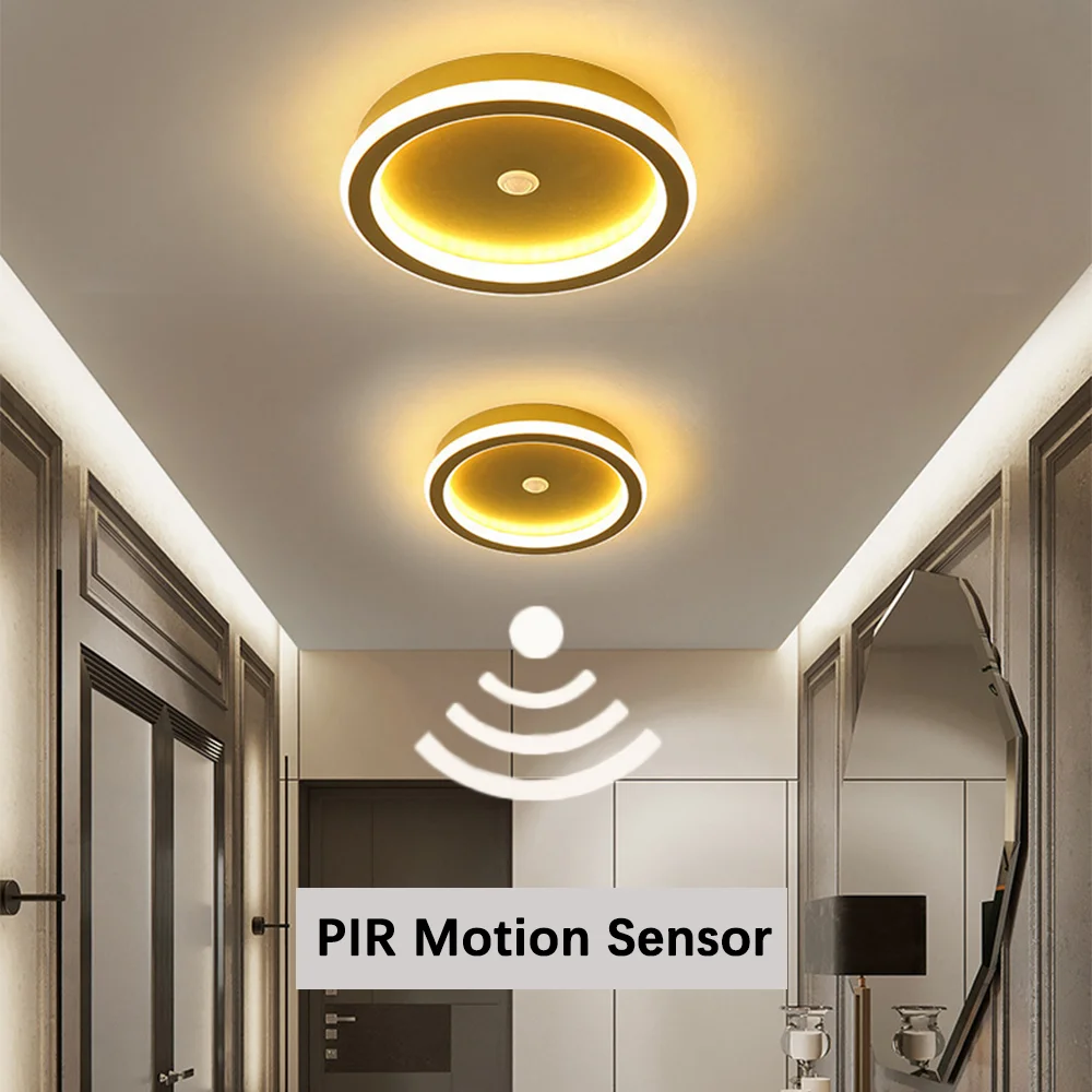 

PIR Motion Sensor LED Ceiling Lamp for Aisle Corridor 220V 22CM 23CM Indoor Human Body Sensor LED Ceiling Lighting for Bedroom