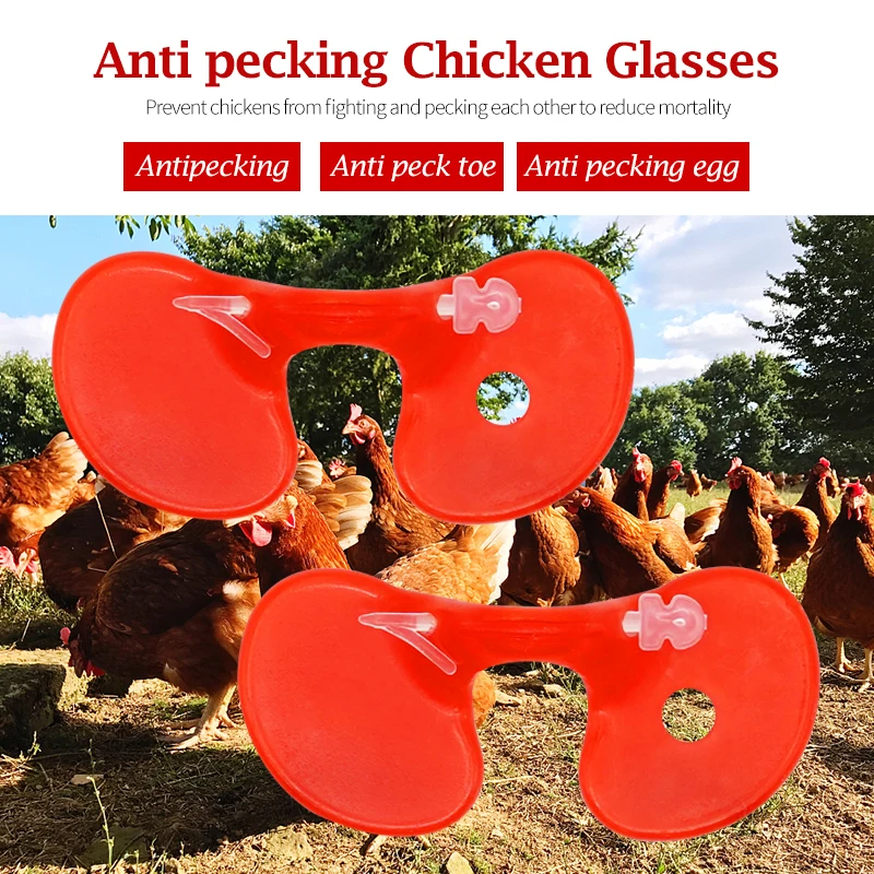 100 Pcs Plastic with Bolt Hen Chicken Glasses Red, Anti-Pecking Pheasant Poultry Poultry Protection Supplies Equipments