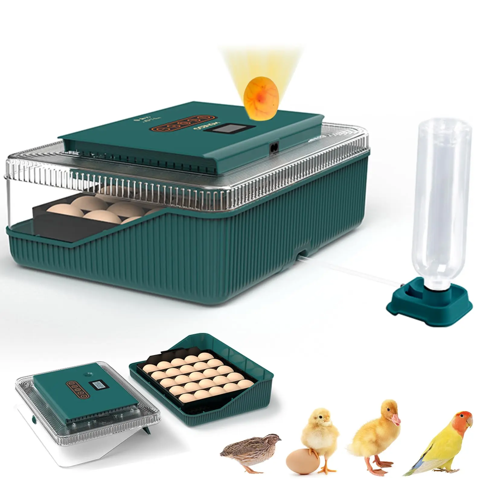 25 Egg Incubator for Hatching Chicks with Automatic Egg Turner Pro, Humidity Display, Egg Candler and Day Tractor for Chicken