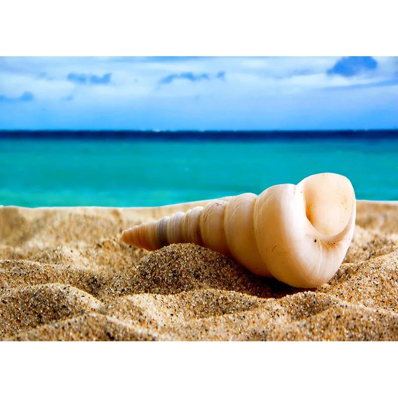 Zomer Tropische Zee Strand Palmen Boom Fotografie Achtergrond Natuurlijke Schilderachtige Foto Achtergronden Fotostudio Props 2133 HHB-02